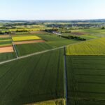 Comprehensive Overview of Faapa: Unveiling the Diverse Meanings and Applications