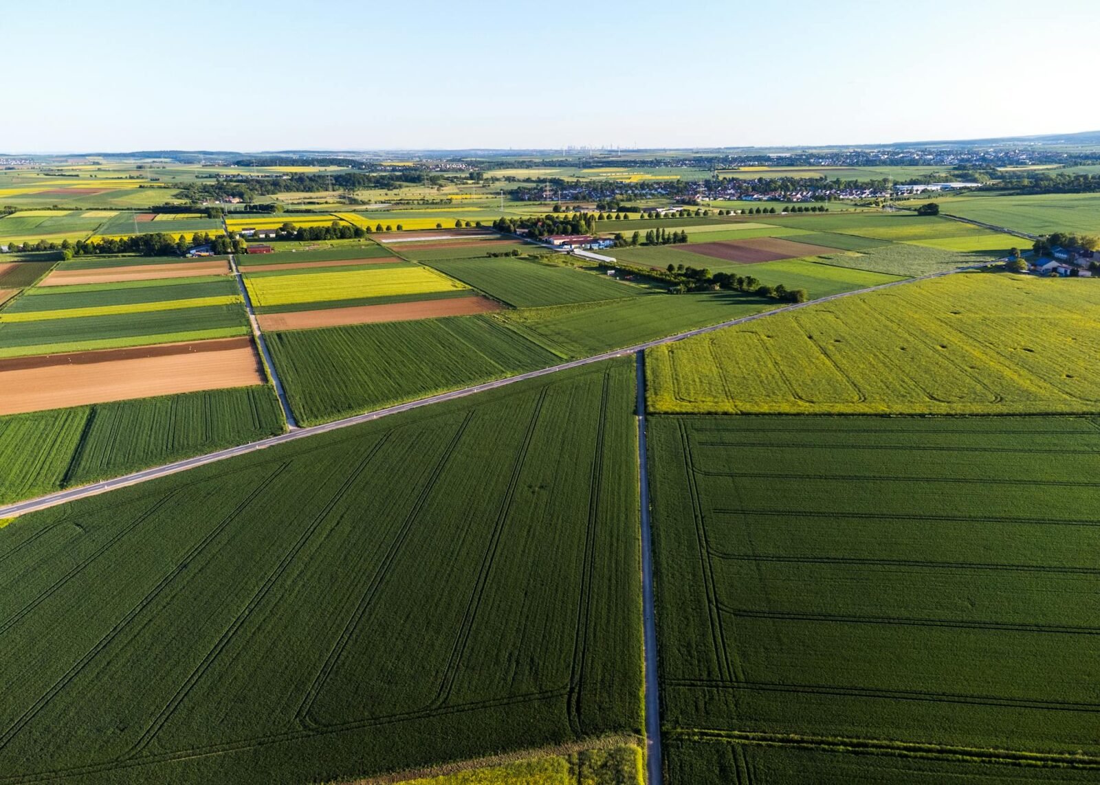 Comprehensive Overview of Faapa: Unveiling the Diverse Meanings and Applications