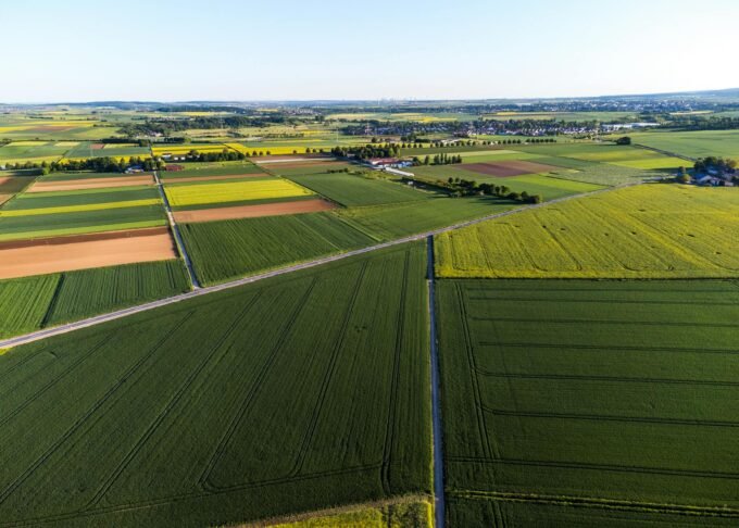 Comprehensive Overview of Faapa: Unveiling the Diverse Meanings and Applications