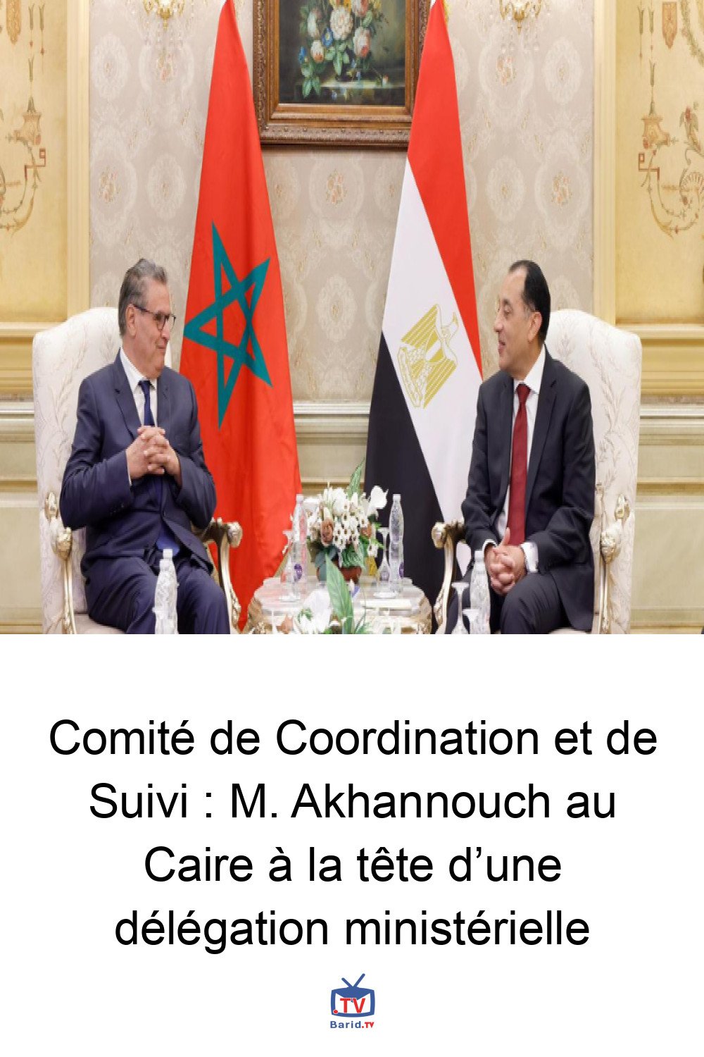 Comité de Coordination et de Suivi : M. Akhannouch au Caire à la tête d’une délégation ministérielle 4 Pinterest Hidden
