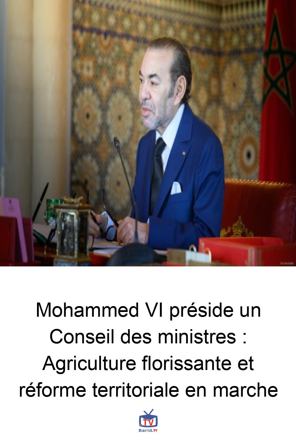 Mohammed VI préside un Conseil des ministres : Agriculture florissante et réforme territoriale en marche 4 Pinterest Hidden