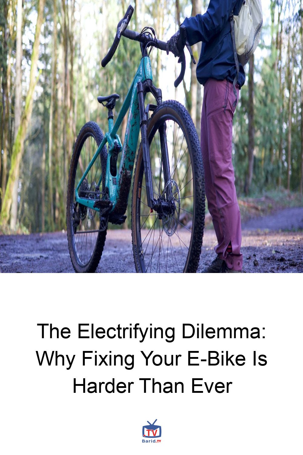 The Electrifying Dilemma: Why Fixing Your E-Bike Is Harder Than Ever 4 Pinterest Hidden
