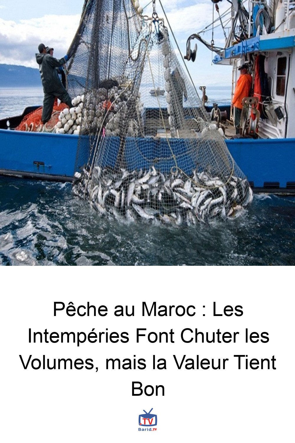 Pêche au Maroc : Les Intempéries Font Chuter les Volumes, mais la Valeur Tient Bon 4 Pinterest Hidden