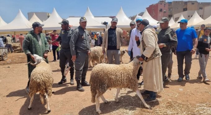 Aïd Al Adha : Le