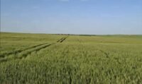 Crise Engrais Maroc