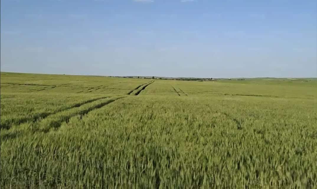Crise Engrais Maroc