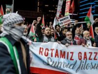 صورة لأسطول مساعدات إنسانية في عرض البحر