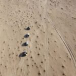 لقطة جوية لمركبات تعبر الصحراء قرب السماوة في العراق، ضمن مشروع سياحة بيئية.