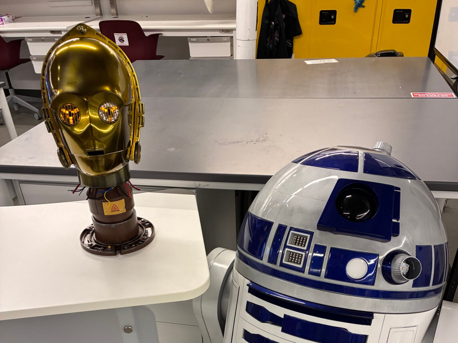 Sam Potozkin's custom-built C-3PO droid head with a shiny gold finish, showcasing intricate details and advanced AI integration.
