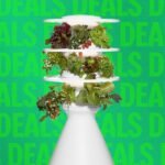 Lettuce Grow Farmstand and Counterstand hydroponic gardens displayed in a modern home setting.