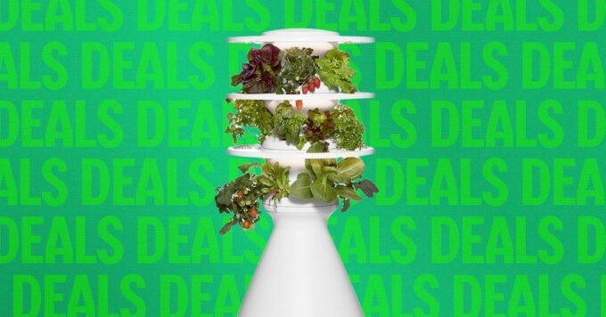 Lettuce Grow Farmstand and Counterstand hydroponic gardens displayed in a modern home setting.