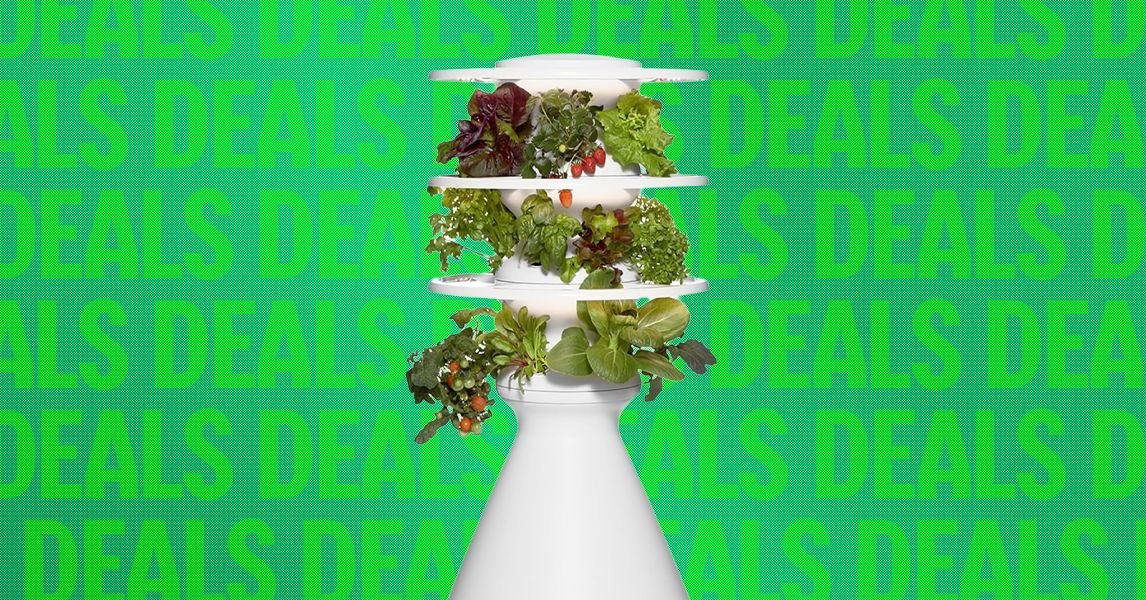Lettuce Grow Farmstand and Counterstand hydroponic gardens displayed in a modern home setting.