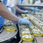 Un rayon de supermarché au Maroc, montrant des étagères partiellement vides de conserves de sardines, symbolisant la pénurie et l'engouement actuel pour ce produit.
