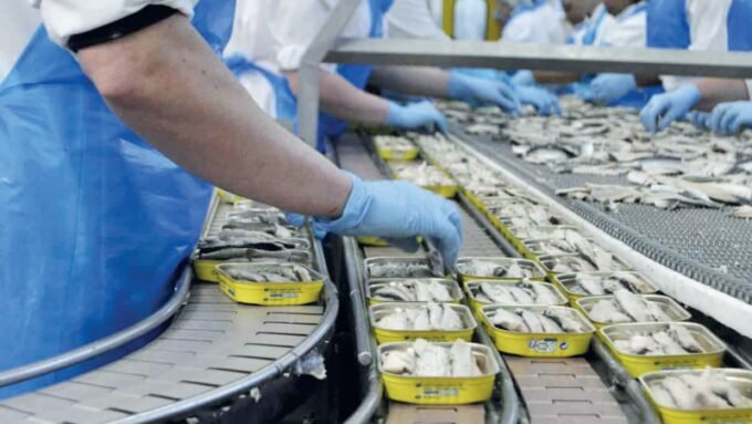 Un rayon de supermarché au Maroc, montrant des étagères partiellement vides de conserves de sardines, symbolisant la pénurie et l'engouement actuel pour ce produit.