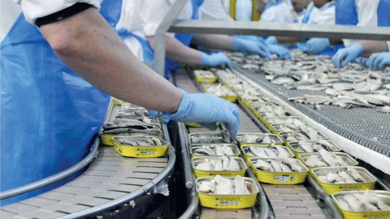 Un rayon de supermarché au Maroc, montrant des étagères partiellement vides de conserves de sardines, symbolisant la pénurie et l'engouement actuel pour ce produit.