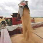 Vue aérienne de champs agricoles irrigués au Maroc, symbolisant le défi de la souveraineté alimentaire et de la gestion de l'eau en Afrique.