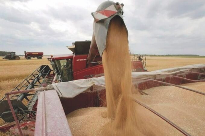 Vue aérienne de champs agricoles irrigués au Maroc, symbolisant le défi de la souveraineté alimentaire et de la gestion de l'eau en Afrique.
