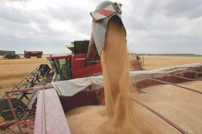 Vue aérienne de champs agricoles irrigués au Maroc, symbolisant le défi de la souveraineté alimentaire et de la gestion de l'eau en Afrique.