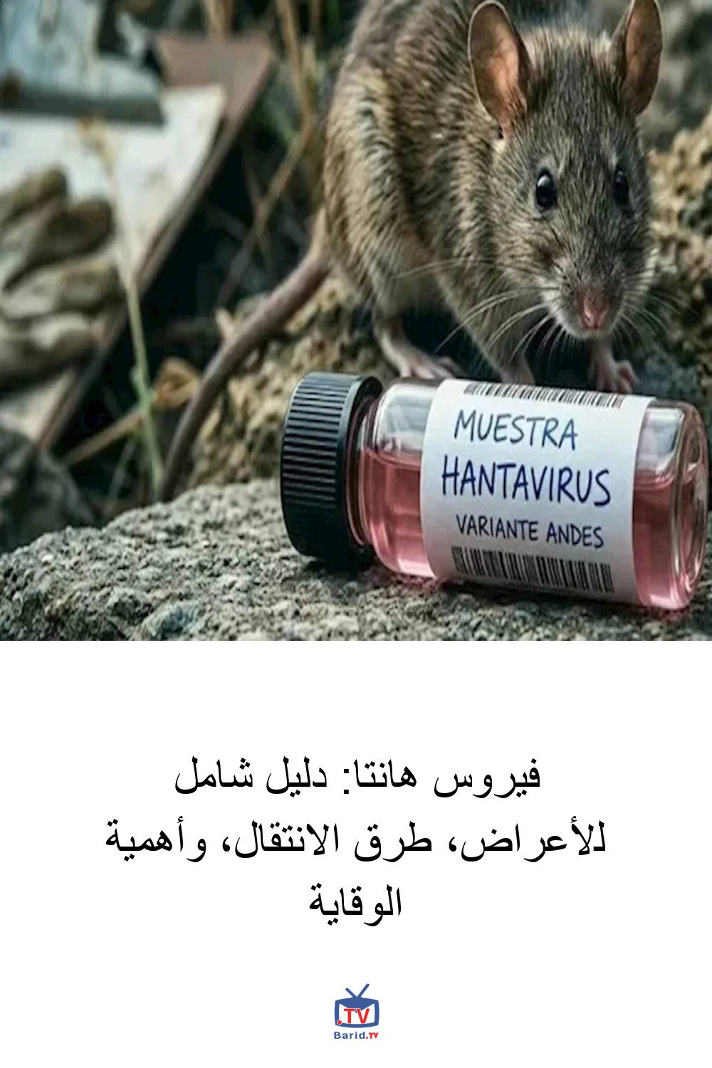 Pinterest Hidden