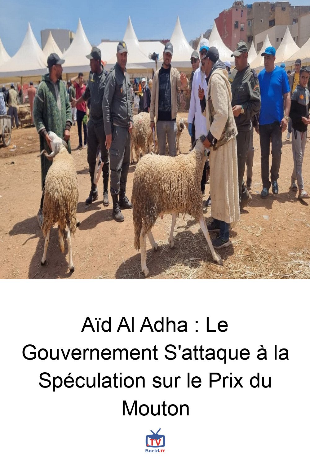 Aïd Al Adha : Le Gouvernement S'attaque à la Spéculation sur le Prix du Mouton 4 Pinterest Hidden
