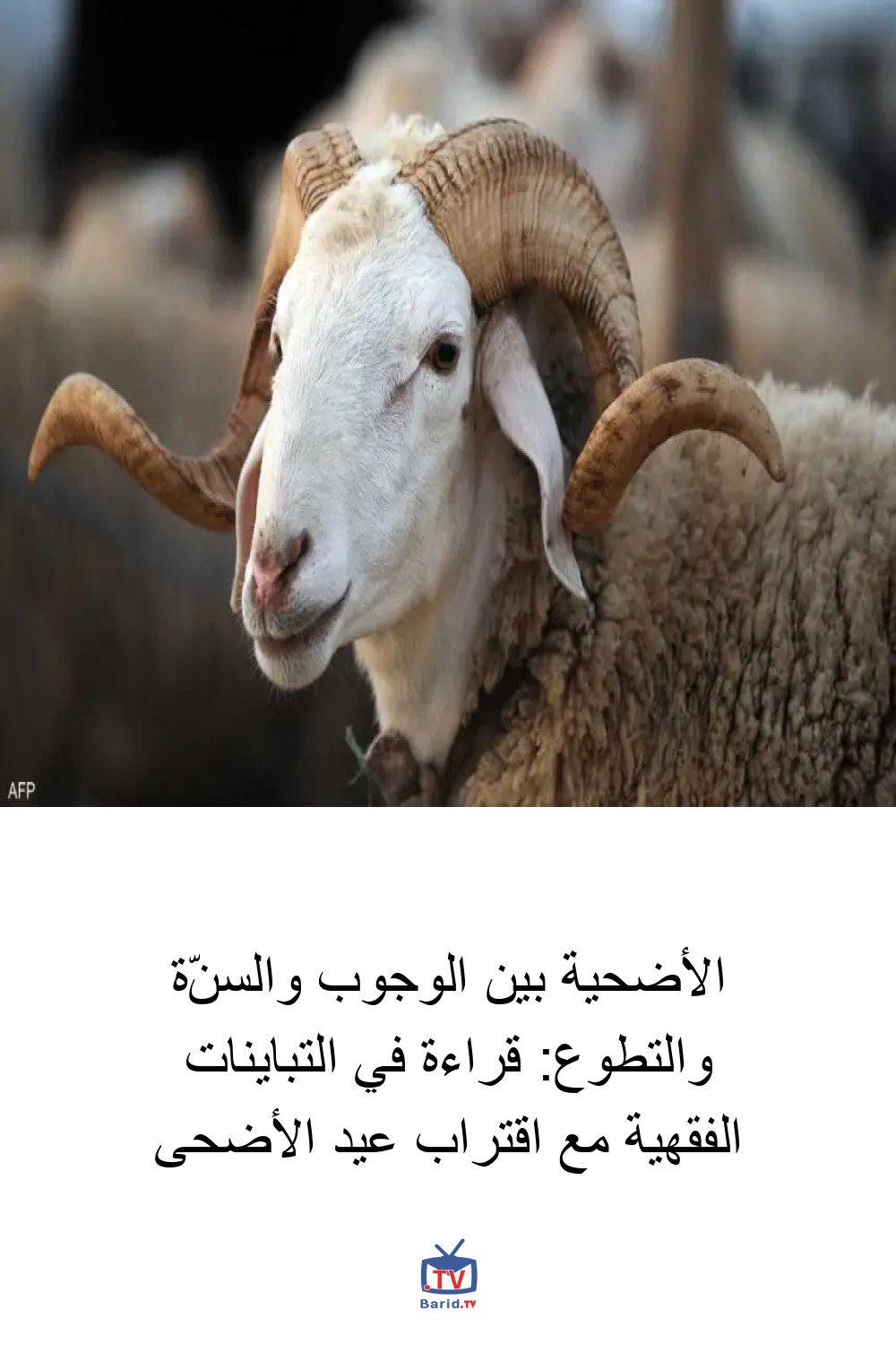 Pinterest Hidden