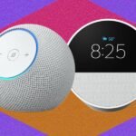 A collection of Amazon Echo smart speakers and smart displays, including the Echo Dot Max and Echo Show 11, showcasing their sleek designs.