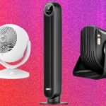 A collection of modern fans, including a sleek tower fan, a smart pedestal fan, and a compact air circulator, in a bright, airy room.
