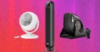 A collection of modern fans, including a sleek tower fan, a smart pedestal fan, and a compact air circulator, in a bright, airy room.