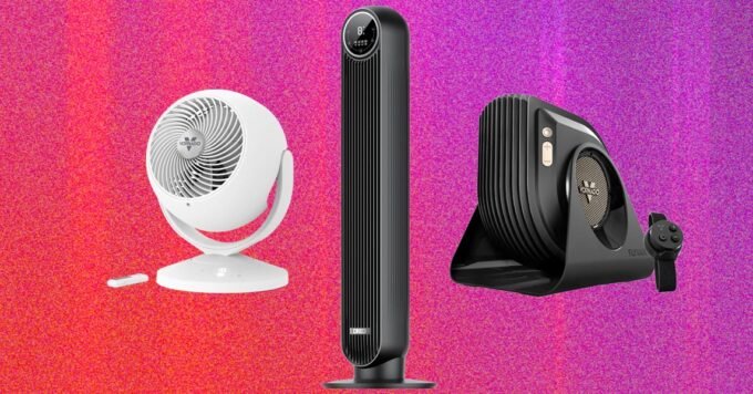 A collection of modern fans, including a sleek tower fan, a smart pedestal fan, and a compact air circulator, in a bright, airy room.