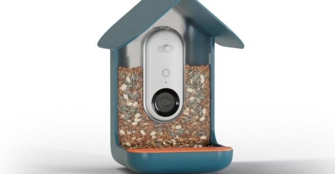 The Bird Buddy Pro smart bird feeder with an attached solar panel, mounted in a garden setting, capturing a bird.