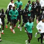 Mondial 2026 : Les Éléphants privés de leurs supporters, la politique migratoire américaine en cause 6 Coupe du monde 2026, Côte d'Ivoire, visas, supporters, États-Unis, Donald Trump, football