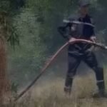 صورة تظهر جهود فرق الإطفاء والوقاية المدنية للسيطرة على حريق غابوي في منطقة جبلية بإقليم إفران، مع دخان خفيف يتصاعد من الأشجار.