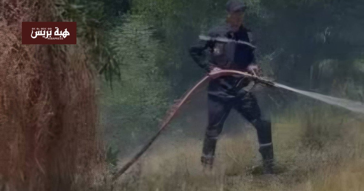 صورة تظهر جهود فرق الإطفاء والوقاية المدنية للسيطرة على حريق غابوي في منطقة جبلية بإقليم إفران، مع دخان خفيف يتصاعد من الأشجار.
