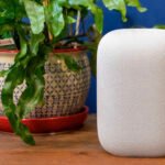 A Google Nest Home Mini and Nest Audio smart speaker side by side, symbolizing their discontinuation.