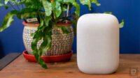 A Google Nest Home Mini and Nest Audio smart speaker side by side, symbolizing their discontinuation.