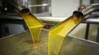 Bouteilles d'huile d'olive marocaine de qualité supérieure sur un étal de marché européen, avec des olives vertes en arrière-plan, symbolisant la forte demande et l'augmentation des importations.