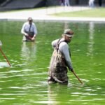 Washington's Green Enigma: Why the Lincoln Memorial Reflecting Pool Defies its 'Blue' Renovation 6 The Lincoln Memorial Reflecting Pool in Washington D.C. filled with bright green algae, contrasting with the surrounding monuments.