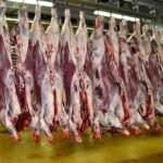 Marché de Casablanca : Viande Rouge en Hausse, Fruits et Légumes de Saison en Baisse 8 Vue d'un étal de viande rouge dans un marché de Casablanca, avec des fruits et légumes en arrière-plan, illustrant les tendances des prix.