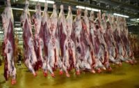 Vue d'un étal de viande rouge dans un marché de Casablanca, avec des fruits et légumes en arrière-plan, illustrant les tendances des prix.