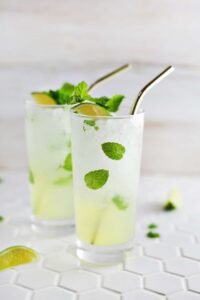 A refreshing mint Mojito cocktail in a tall glass with lime slices and fresh mint sprigs