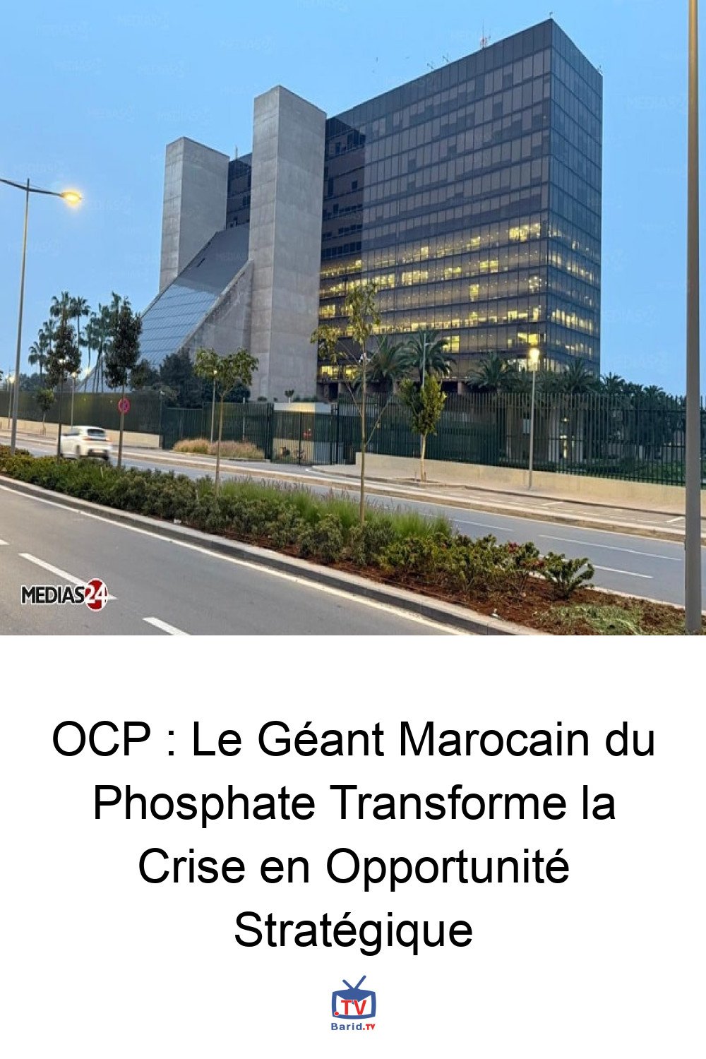 OCP : Le Géant Marocain du Phosphate Transforme la Crise en Opportunité Stratégique 4 Pinterest Hidden