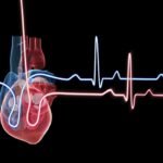 صورة تعبيرية تظهر قلبًا بشريًا، ترمز إلى أهمية العناية بصحة القلب والأوعية الدموية خلال فصل الصيف.