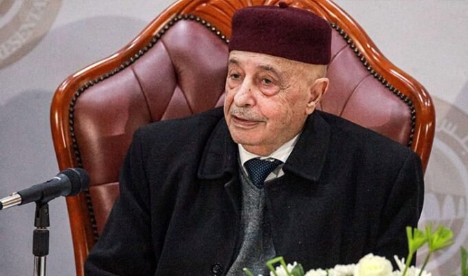 المسار السياسي الليبي: عقيلة صالح والدبيبة يؤكدان على "الملكية الوطنية" وسط ترقب لمبادرة بولس 10 صورة تظهر عقيلة صالح وعبد الحميد الدبيبة، أو خريطة ليبيا، أو شعار الأمم المتحدة، تعكس المشهد السياسي الليبي.