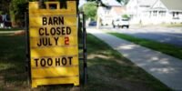 États-Unis : La Canicule Historique