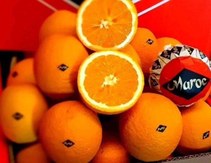 Le Maroc Déferle sur le Marché Allemand de l'Orange avec des Exportations Record et Vise le Top 5 6 Une pile d'oranges marocaines fraîches et juteuses, symbolisant la réussite des exportations vers l'Allemagne.
