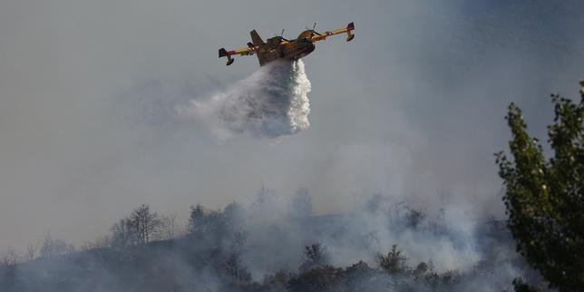Vue aérienne d'un Canadair larguant de l'eau sur un feu de forêt dévastateur dans les Pyrénées-Orientales, avec une épaisse fumée s'élevant au-dessus des arbres calcinés.