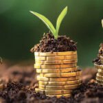 Illustration d'une main tenant une plante verte, symbolisant l'investissement durable et la finance verte au Maroc.