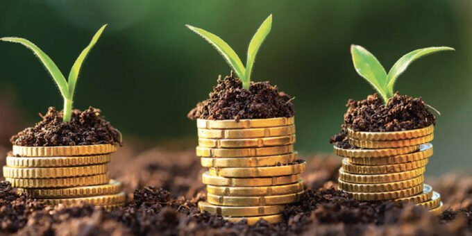Illustration d'une main tenant une plante verte, symbolisant l'investissement durable et la finance verte au Maroc.