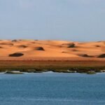 Le Parc National de Khnifiss : Quand le Sahara Révèle son Oasis Secrète 3 Le Parc National de Khnifiss