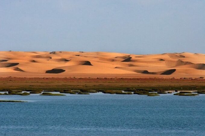 Le Parc National de Khnifiss : Quand le Sahara Révèle son Oasis Secrète 5 Le Parc National de Khnifiss